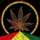 Закладка🍄