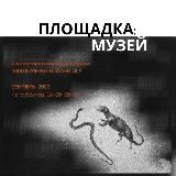 Площадка: Музей