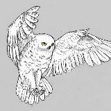 Сергеевна. Блокнот записок