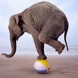 📢 Load & Performance