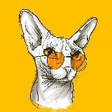 шкіряні кіцики :3