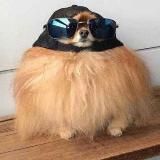 ЮмористЧенал