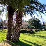 Ривьера ТО Темы для контента