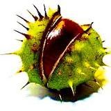 Знахідки AliExpress