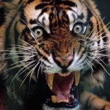 ПЕРЕХОДНИК