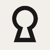 — The Curious Eye —