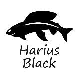 Harius Black - льем приманки, разговариваем о рыбалке.
