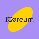 IQareum Media