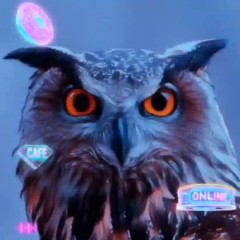 Чат 💬 Tokmachkin