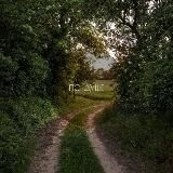 •По душе•🕊🎶