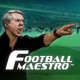 Маэстро спорта