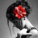 ✨ 🦋𝒱𝒾𝒶𝑔𝑔𝒾𝑜 𝓃𝑒𝓁𝓁' 𝒶𝓃𝒾𝓂𝒶 🦋✨