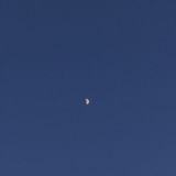 душа непокорная миру.