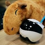 Клуб друзей робота-друга RED SOLUTION