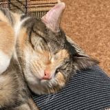 крутые девчёнки