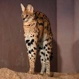 Мои любимые приколы