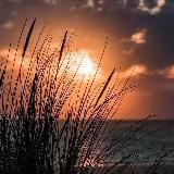 📊Citations & Motivations📊