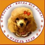 ПудельХелп | помощь Пуделям