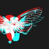 миллион мух не ошибаются