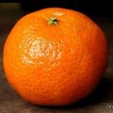 Мандарин 🍊 18+