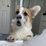 Алёна, Тёмчик и Тимошка (lifestyle) Фотоальбом