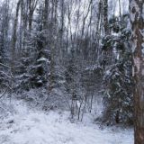 Новые клипы и музыки