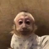 ФЫВФЫВ СТРИМЫ