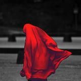 𝐁𝐋𝐎𝐆 𝐂𝐇𝐔𝐉𝐃𝐎𝐘