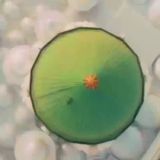 ❇️ 𝐌𝐄𝐓𝐀𝐅𝐢𝐥𝐬𝐚𝐟𝐚𝐭