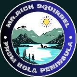 Mr.Rich Squirrel 🐿