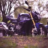 Приключения Рыж🦊🩶