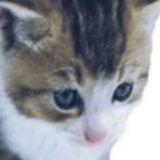 генрих пошел нахуй