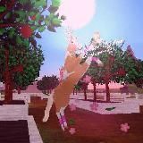 🌑 𝕲𝖚𝖆𝖗𝖉𝖎𝖆𝖓𝖘 𝖔𝖋 𝕹𝖎𝖌𝖍𝖙 🌑