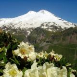 07 ЭЛЬБРУС ❄️ ЧАТ ❄️