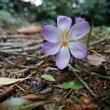 ДУА 🤲и ПОМИНАНИЕ АЛЛАХlА 🌷