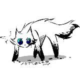 ᴋᴏᴛᴇᴄᴄᴏ