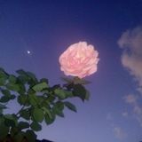 𝖧𝗈𝗉𝖾𝗅𝖾𝗌𝗌.