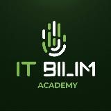 IT-BILIM study