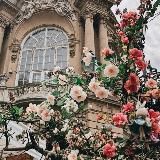 ~𝕞𝕚𝕤𝕝𝕚_𝕟𝕒𝕡𝕣𝕠𝕜𝕒𝕥~