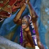 Движемся в правильном направлении