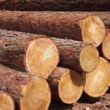 KLP ЧАТ | Древесина