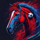 Армейцы Москвы