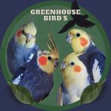 Greenhouse Bird's | Чат