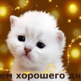 Болтовня с Гилби 🙌