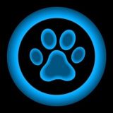 TON Independent Chat