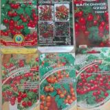 Экологический и медицинский фитодизайн. ИС в Life sciences.