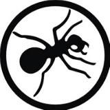 🐜.. Муравьиное царство🐜... -/ANT_ON_OFF/-