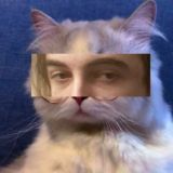 хрестини лавського