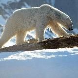 ❄️УК "Заполярье"❄️