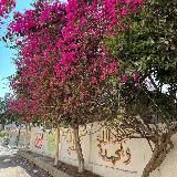 𝚜𝚝𝚛𝚊𝚗𝚗𝚒𝚔.